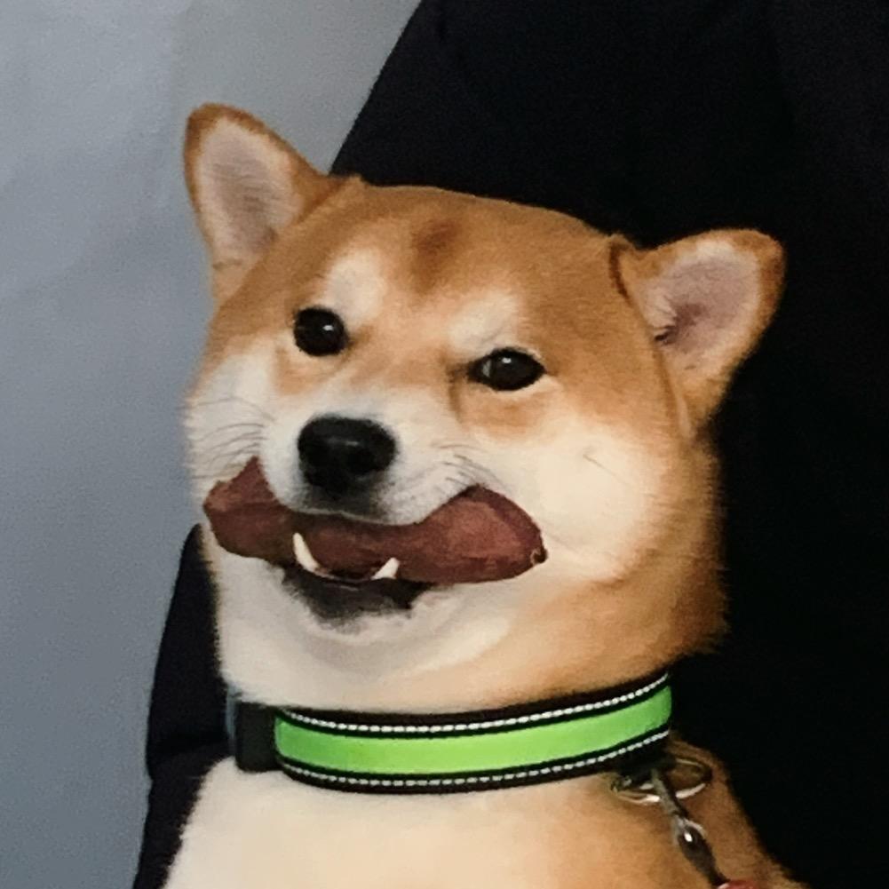 崽崽怎么又拉了