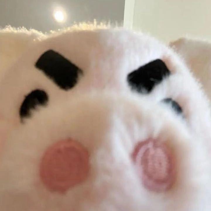 鲁胖胖色彩大宗师CN