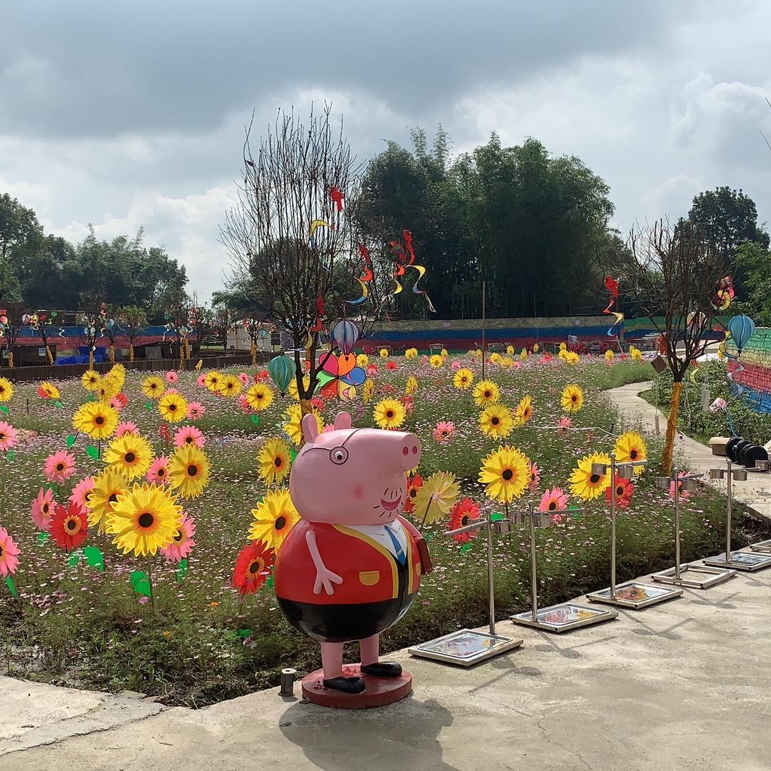 贝朵芬鹦鹉小店