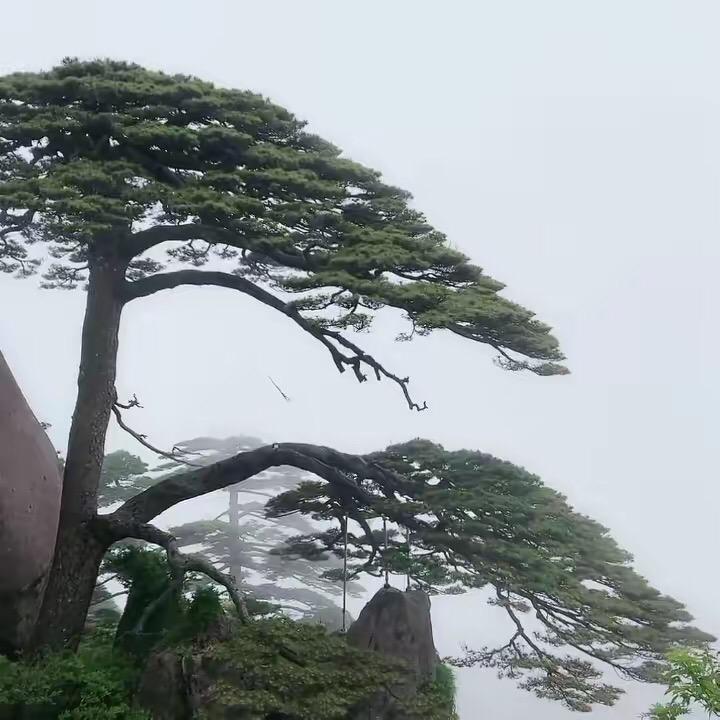坤