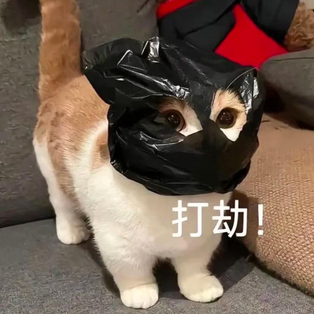 狼遇见羊