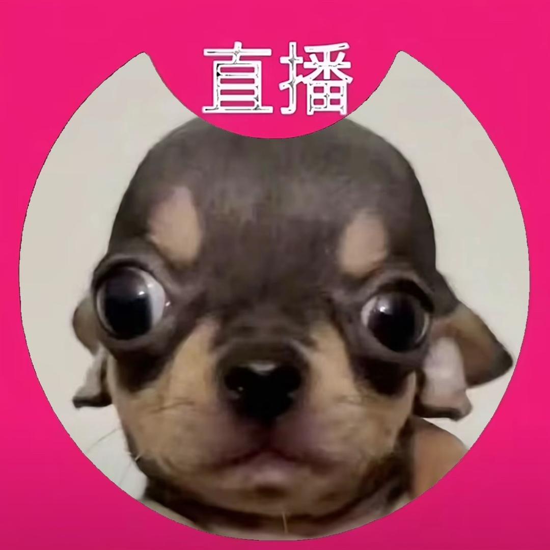 ꉂ ᳐˶ᵒ ᵕ ˂˶ ᳐ฅＨｉ