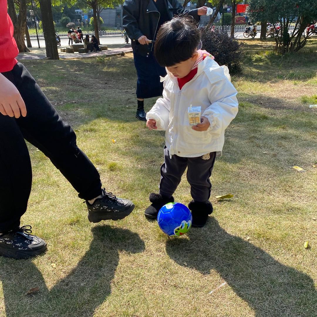 燕子妈咪日常