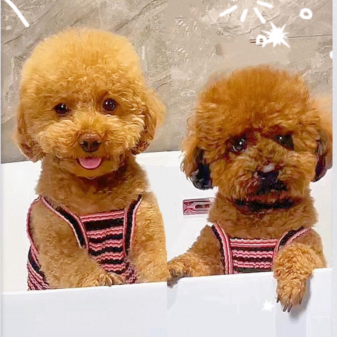 耿乐乐和女儿四月