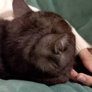 一缕青洪等23.31万人