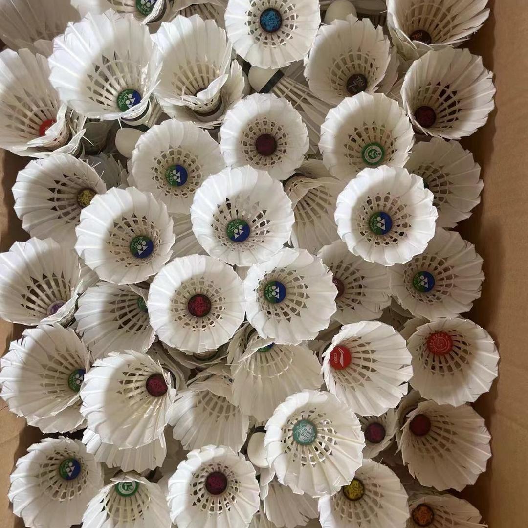 用心做球❤️（全国招代理）