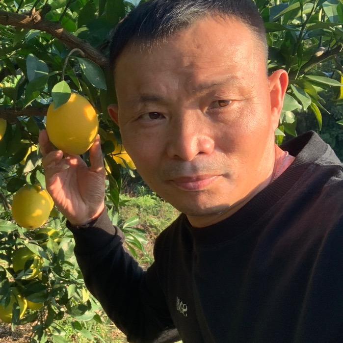农品推荐官（老甘）