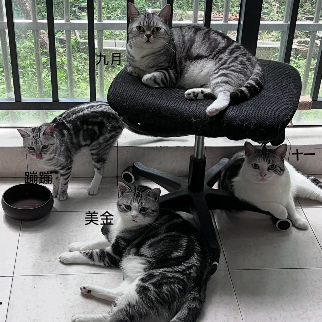 九月一家🐈