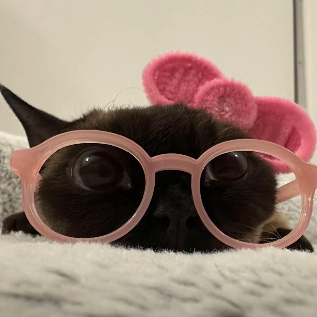 图图每天cos女仆勾引壮壮妈