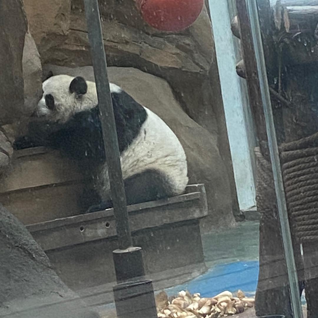 漠潇雅