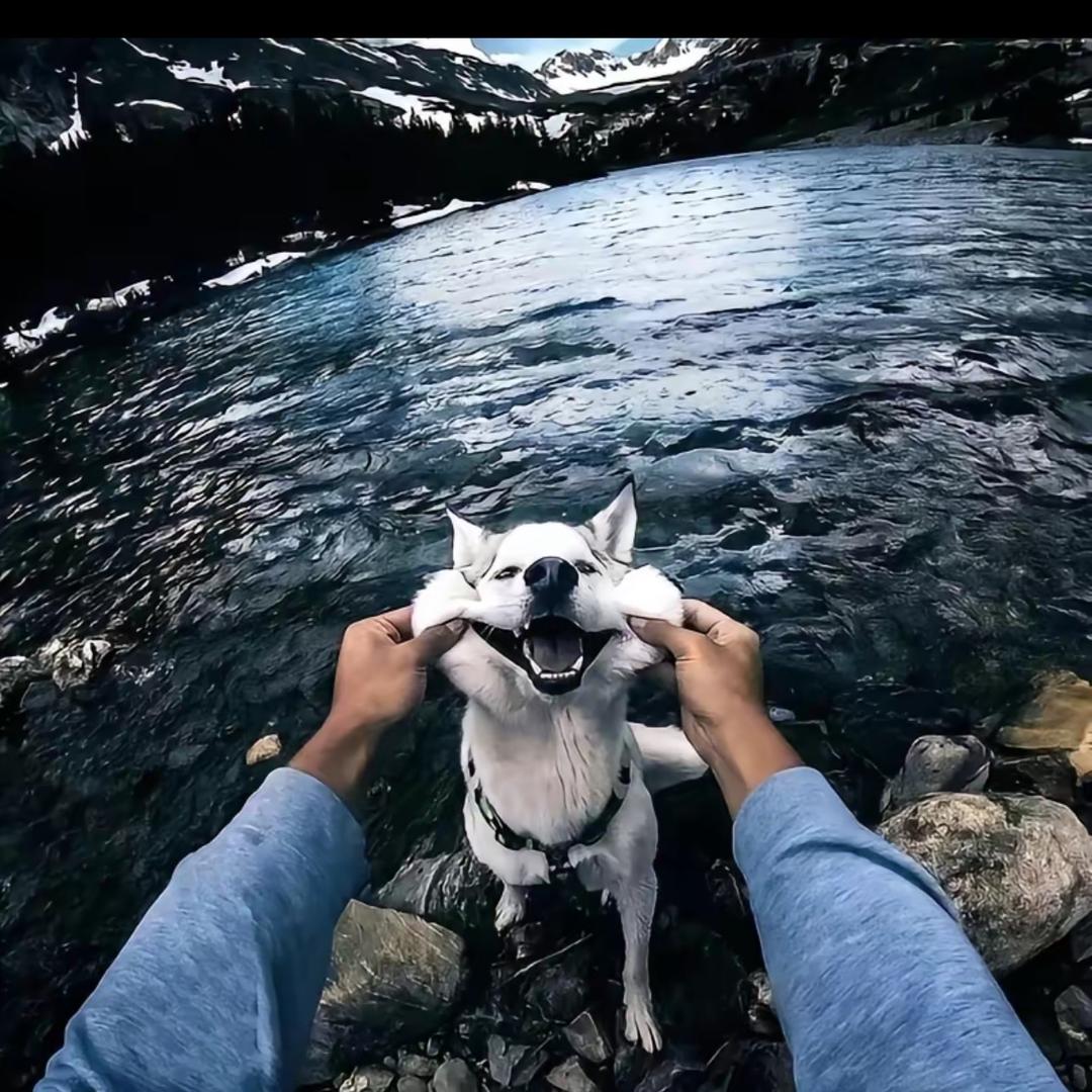 🐟u.