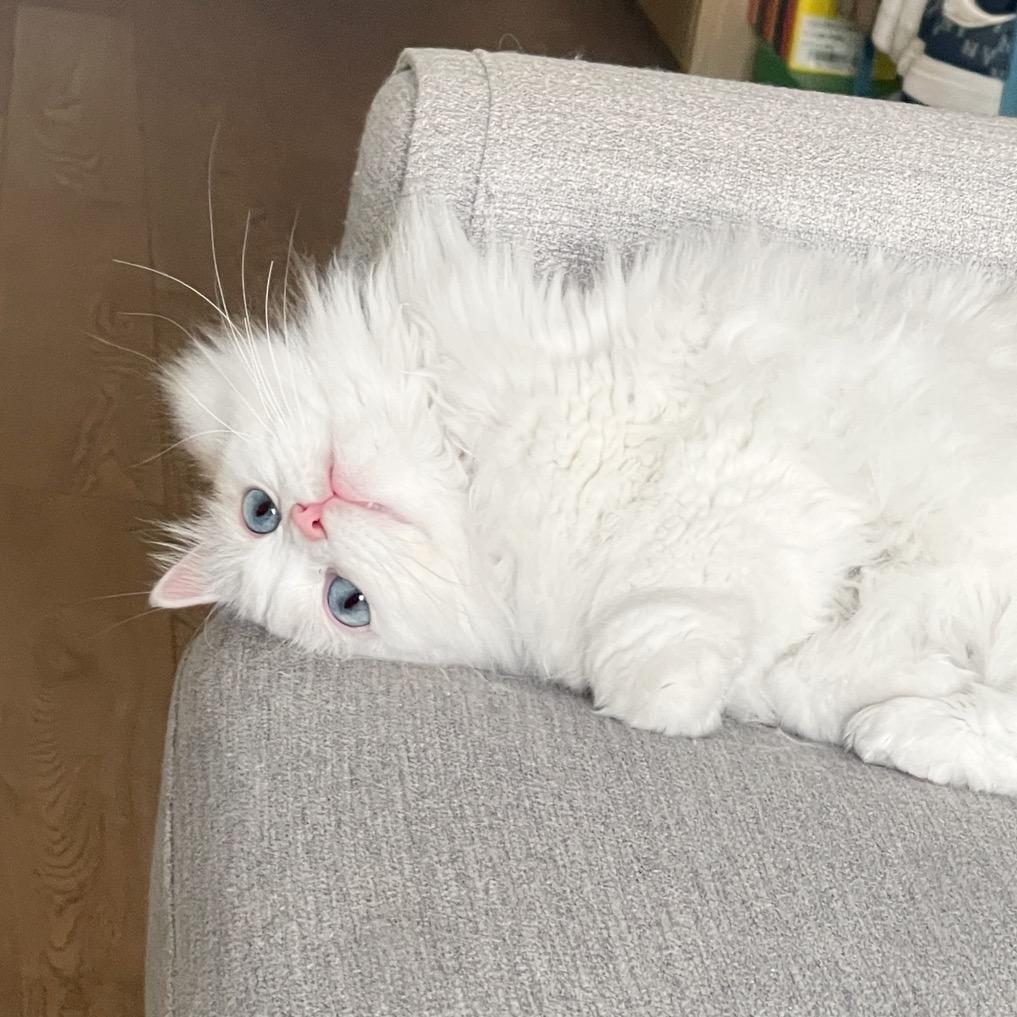 Jh！