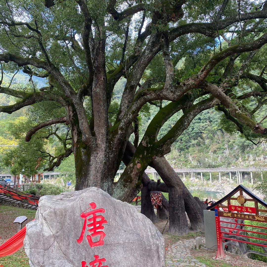 开心😃健身