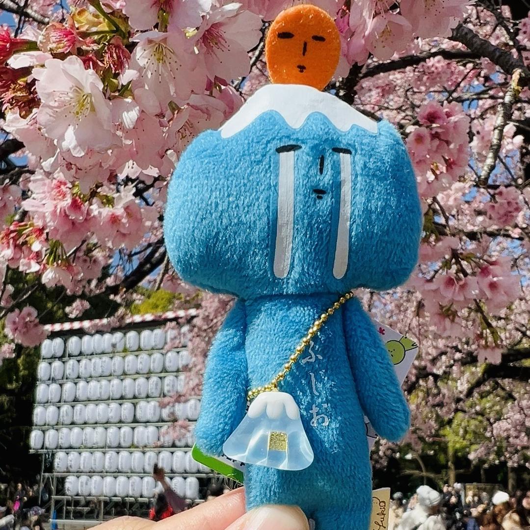 青木木潮玩