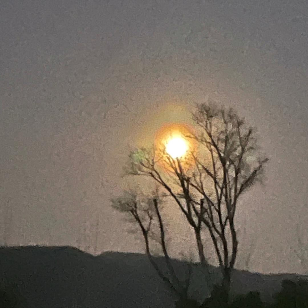 湖畔一家鲜