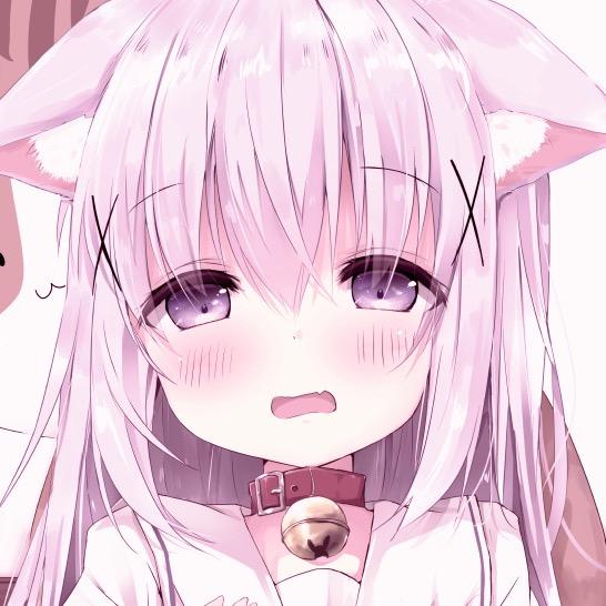 胡琪.