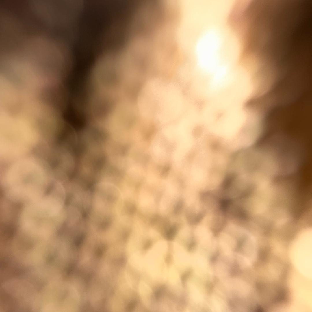 小多