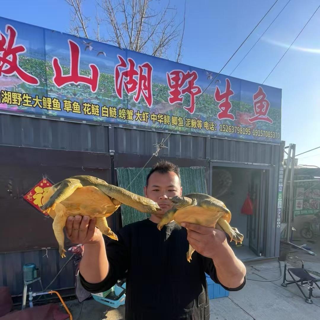 鲜得乐水产 （底层鱼打捞）