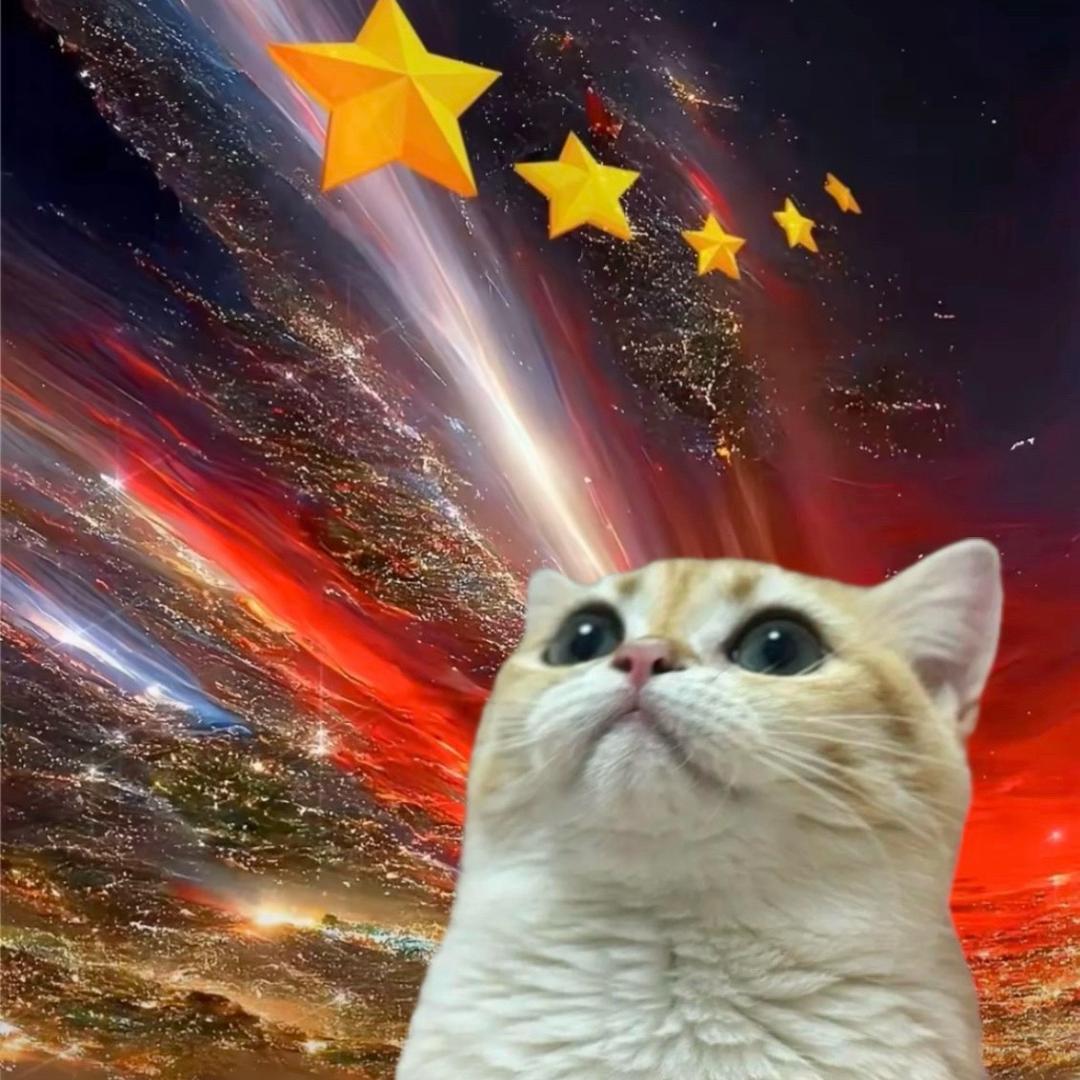 杨洋大老婆•X（不瘦十五斤不改名版）