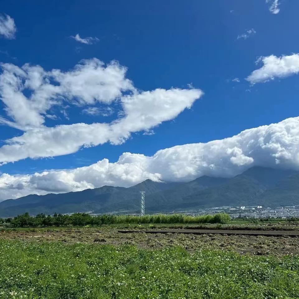 钱途光明