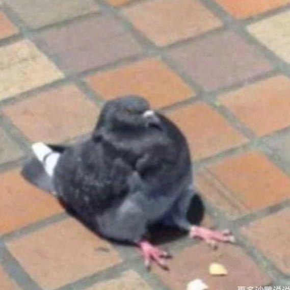 癸未年