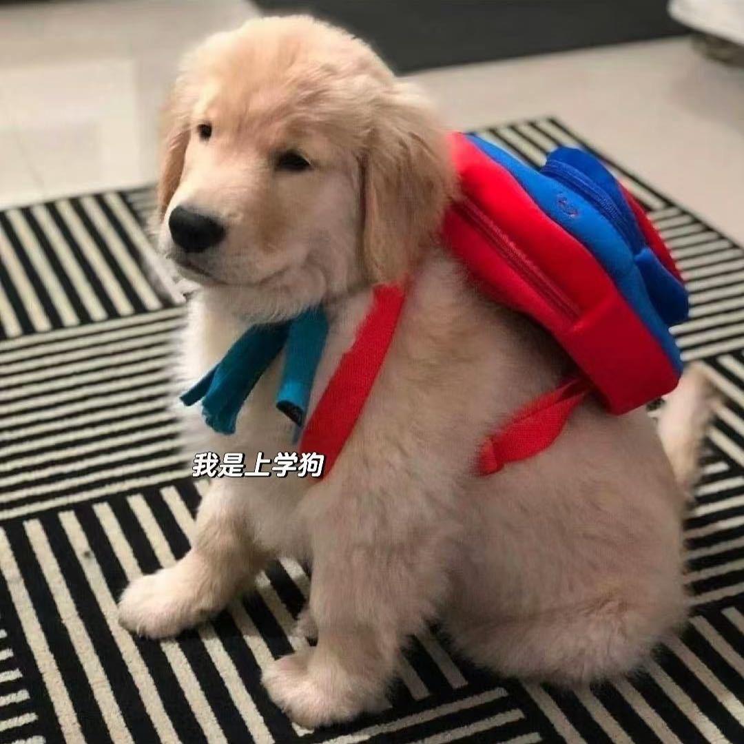 周杰同学
