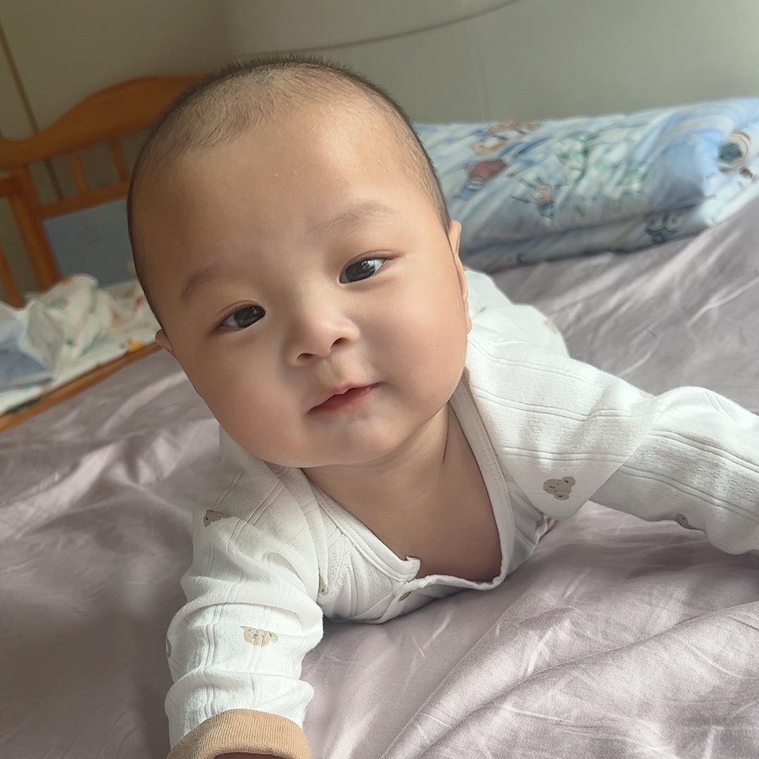 司令麻麻