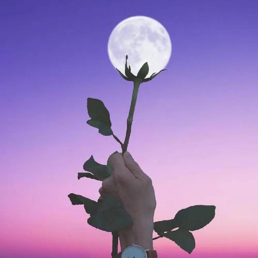 欧柏兰奴