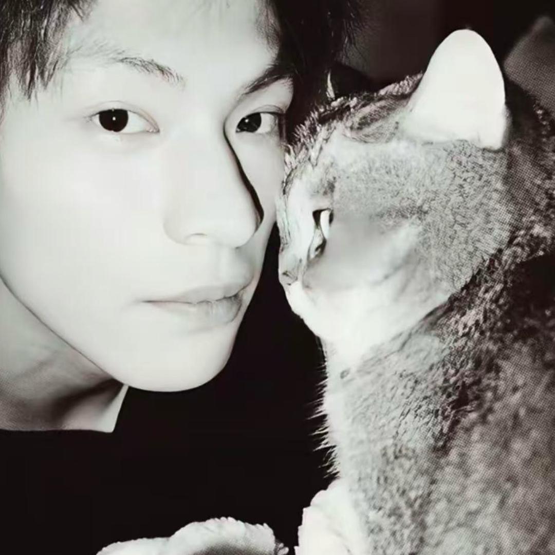 西红柿鸡蛋面🍜