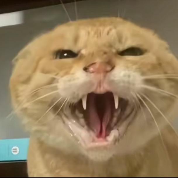 茂密