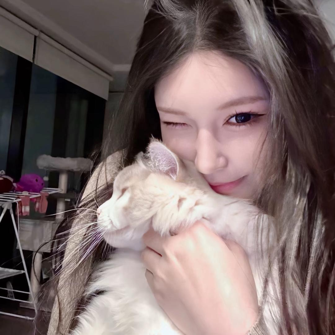 牛牛