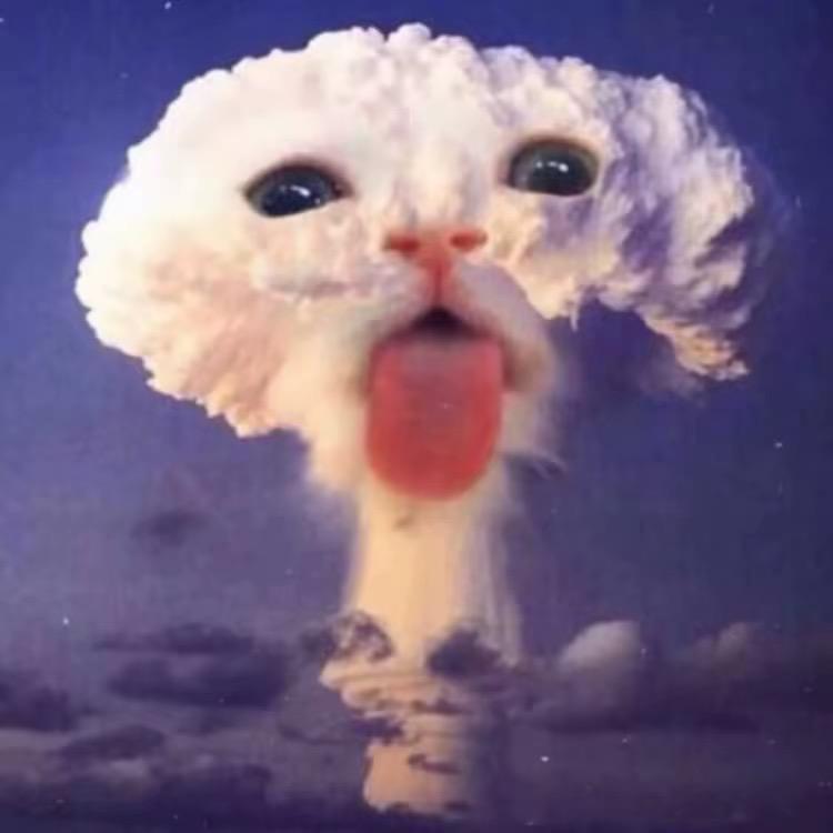 狗宁
