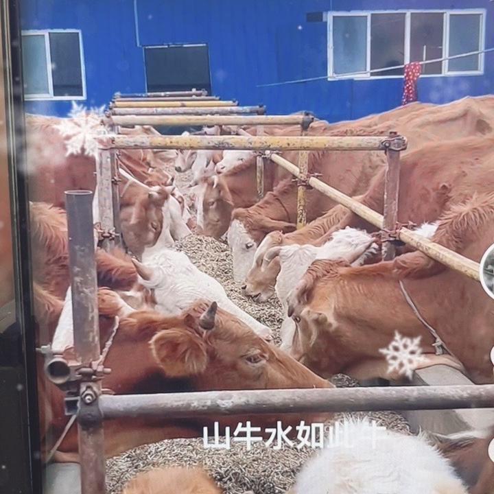 汐然生鲜