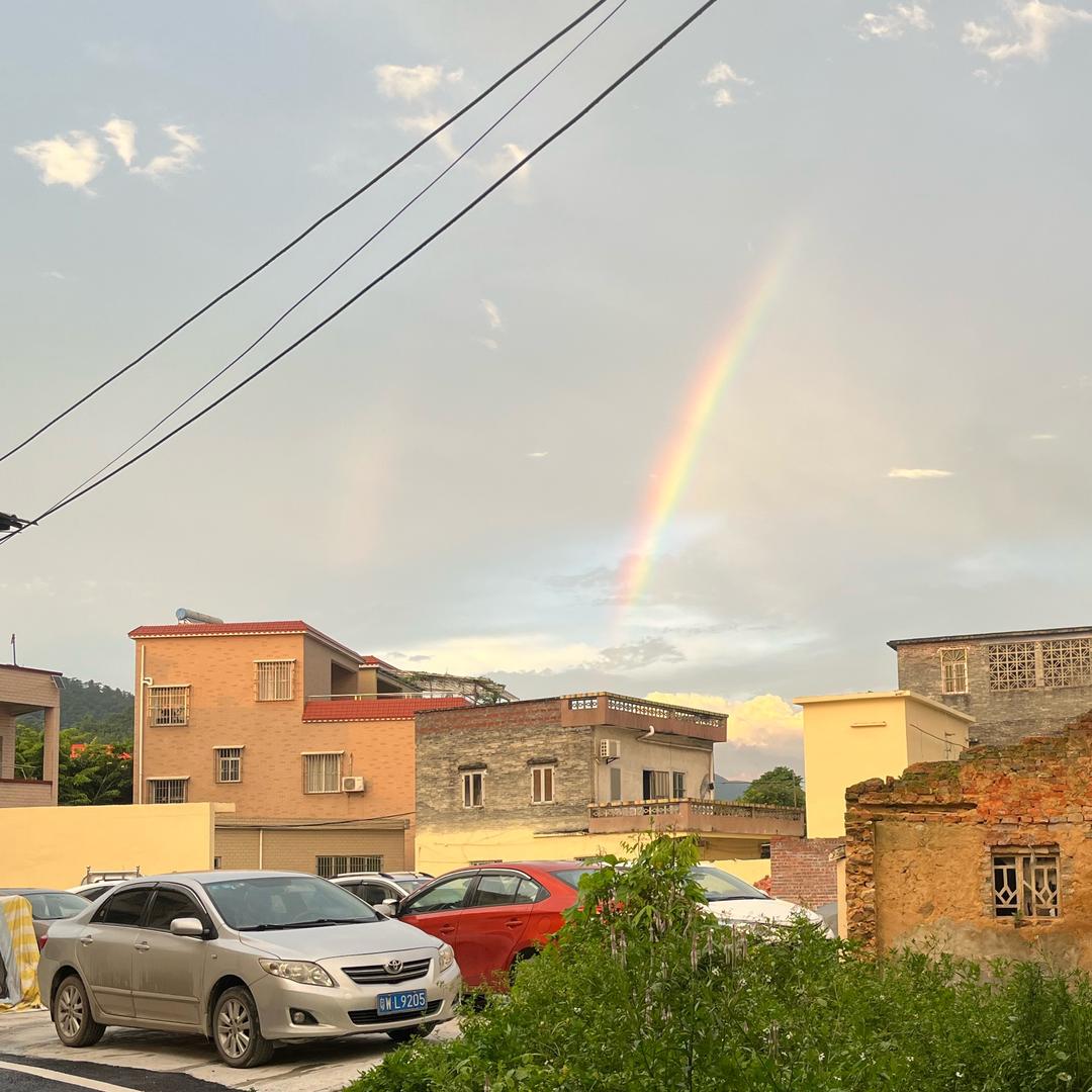 添记鸡鸭鹅 珠珠