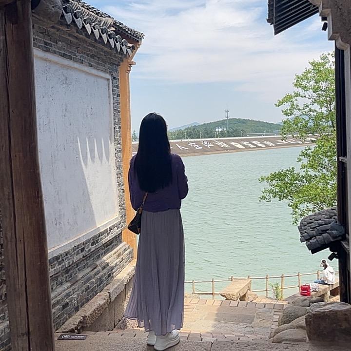 阳光下的向日葵🌻