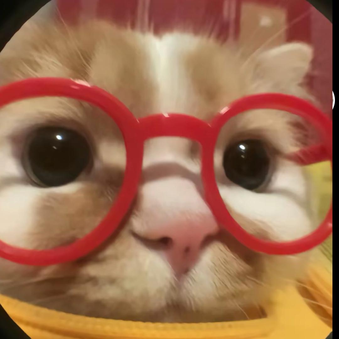 七月爱🐈