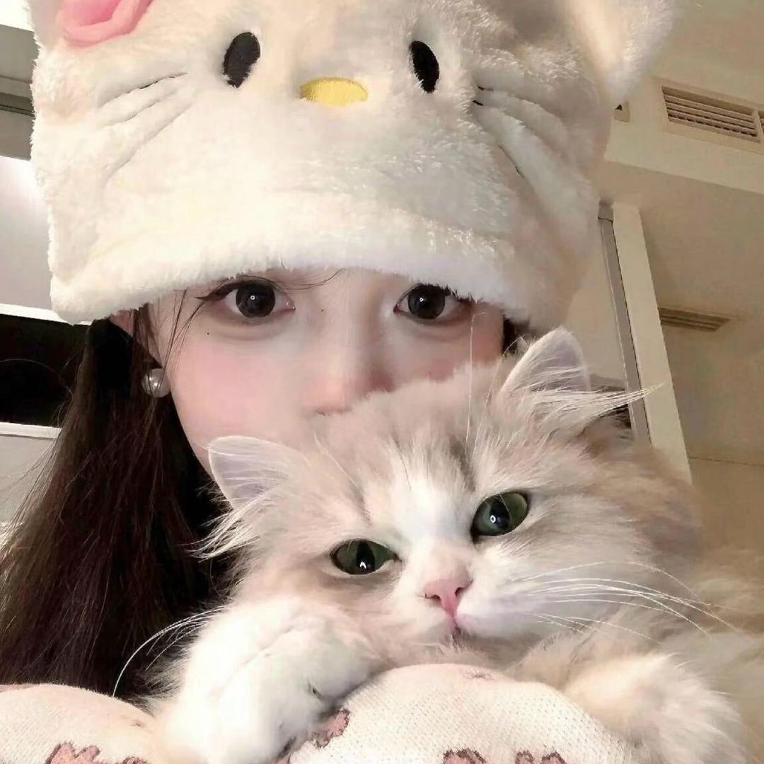 猫猫～