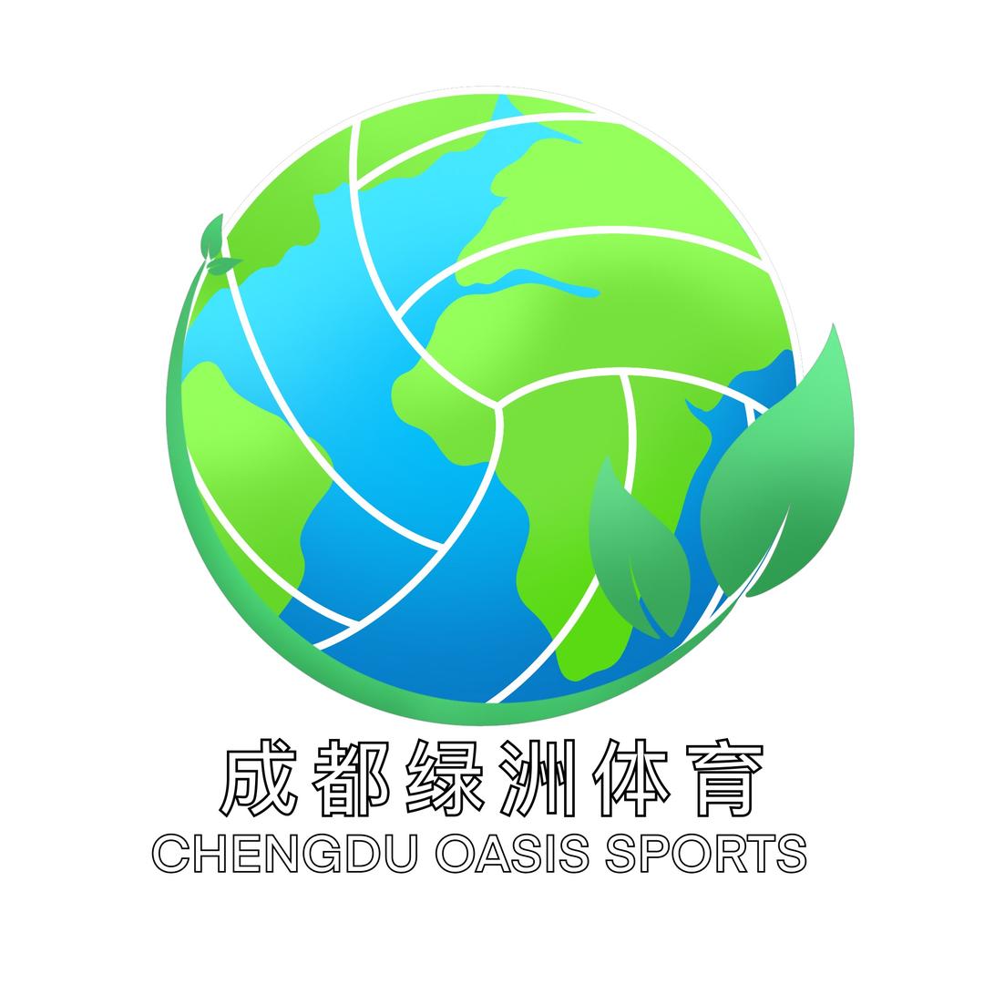 绿洲排球教学