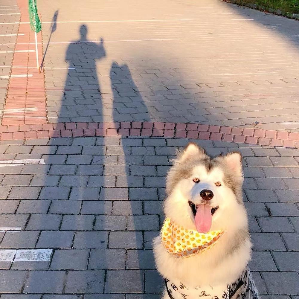 多宝