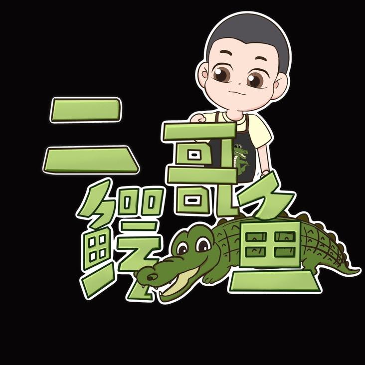 二哥鳄鱼精选🐊