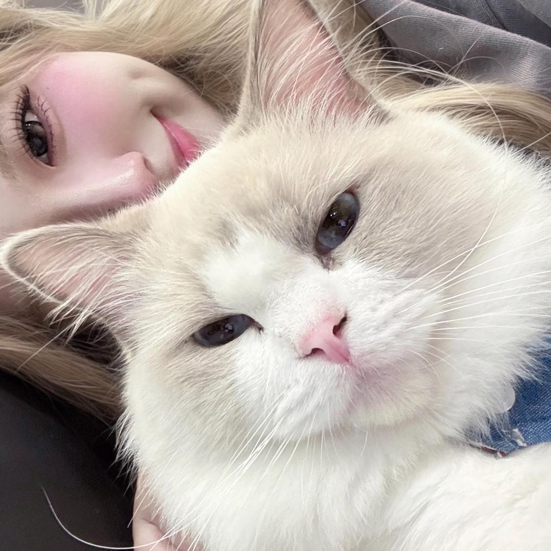 我的老婆很可爱