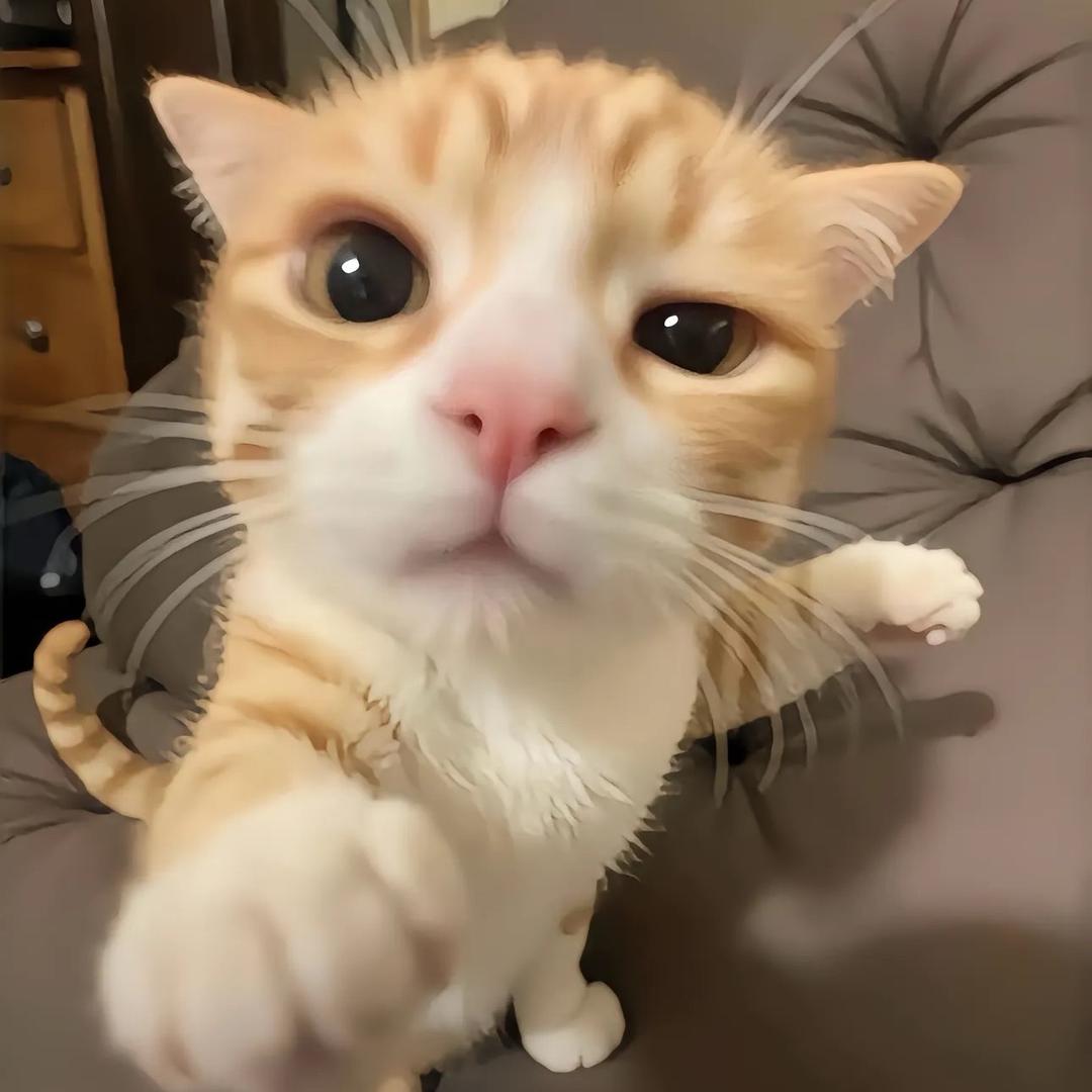 不想上早八🤍
