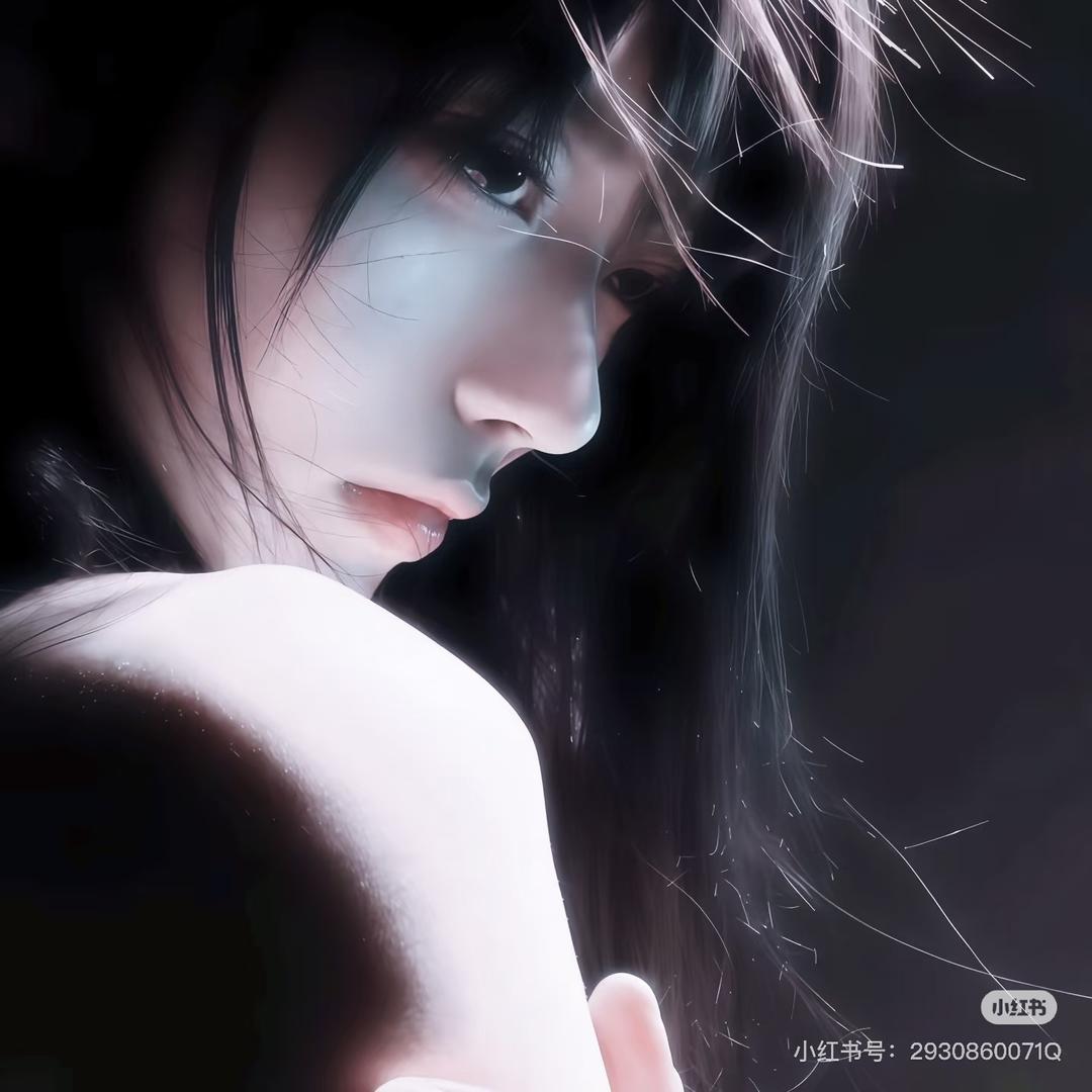 XL北极星001