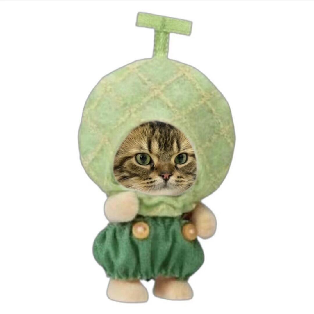 🍈瓜