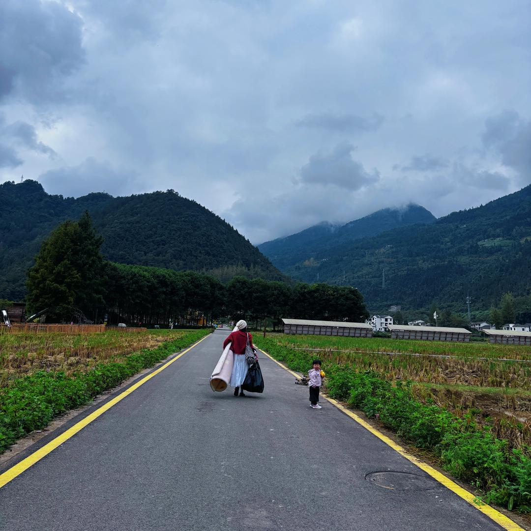 山茶风恩施硒茶（恩恩妹纸）