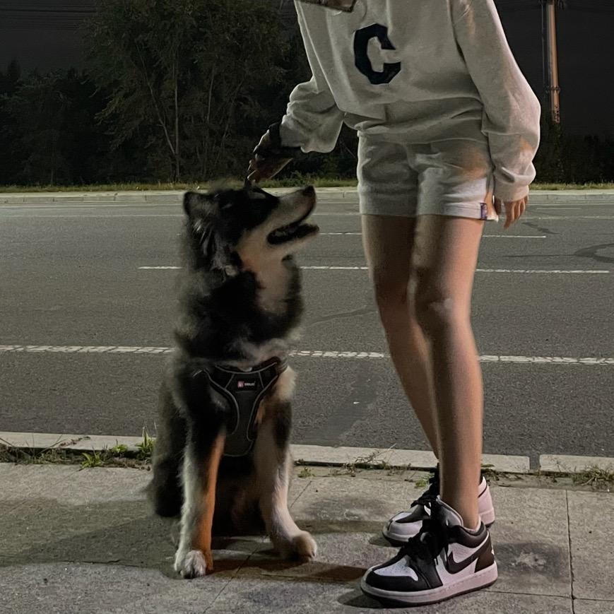 不想上位的皇子