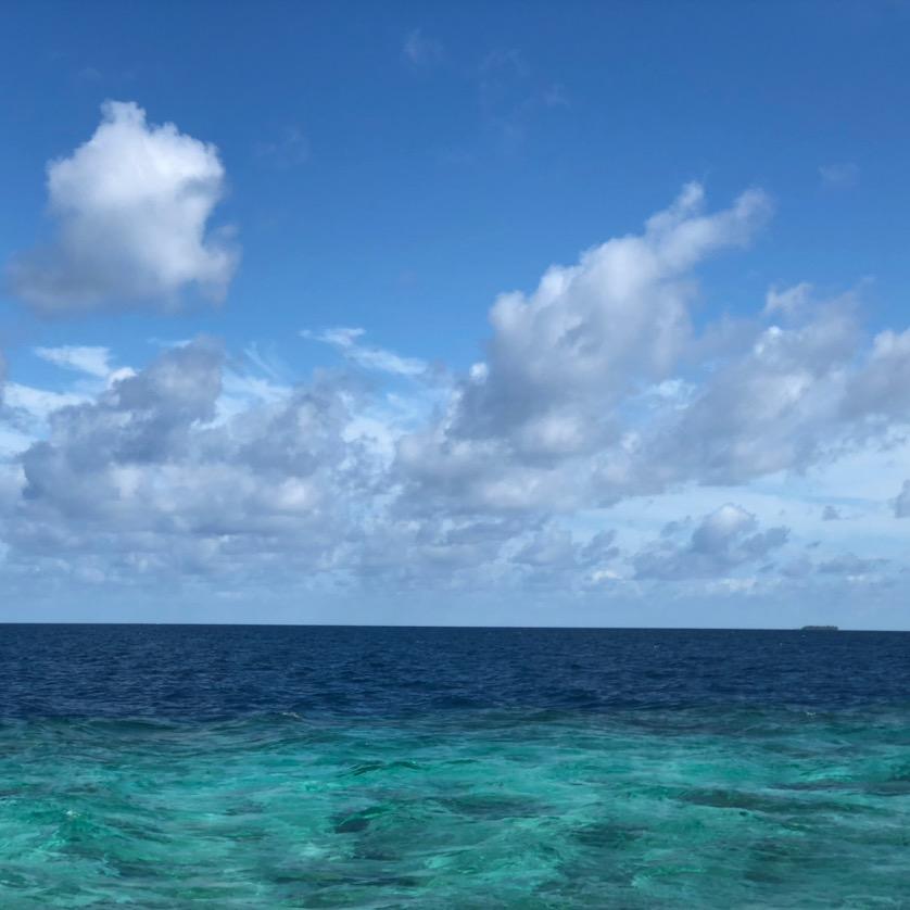 沐沐
