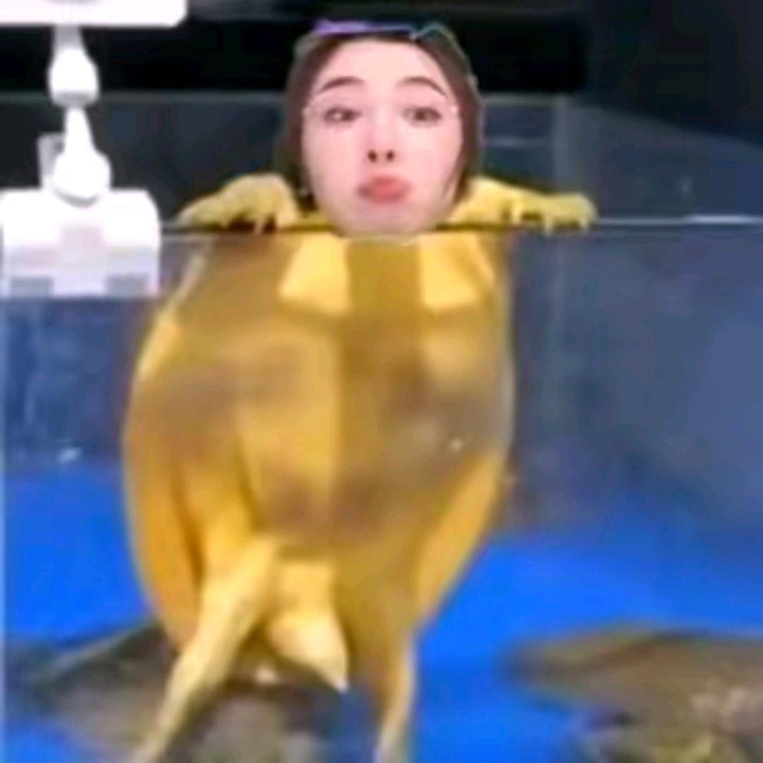 吃不吃香菜🌿🌿