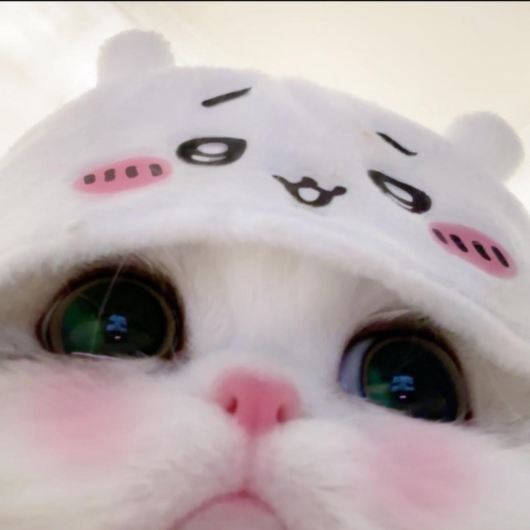 喵喵大王（微胖穿搭版）