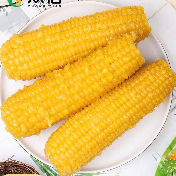 糯玉米🌽